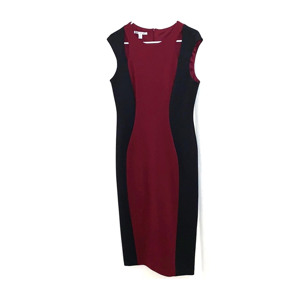 Form Fitting Dress